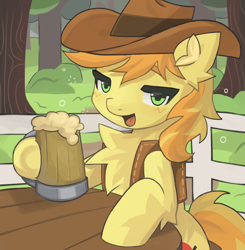 Size: 3000x3055 | Tagged: safe, artist:arasanka, braeburn, earth pony, pony, g4, braebetes, chest fluff, cider, cider mug, commission, cowboy hat, cute, drinking, drunk, fluffy, hat, high res, looking at you, male, mug, outdoors, simple background, sitting, solo, stallion, two toned mane, ych result