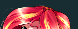 Size: 1180x442 | Tagged: safe, artist:maren, sunset shimmer, human, equestria girls, g4, 2014, bust, cropped, female, hair, old art, portrait, simple background, solo