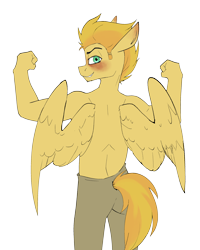 Size: 2412x3011 | Tagged: safe, artist:luxsimx, oc, oc only, oc:radar burst, pegasus, anthro, back, high res, male, simple background, solo, stallion, transparent background