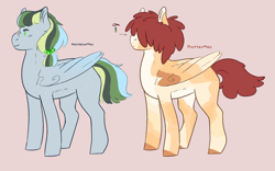 Size: 1280x799 | Tagged: safe, artist:ponymaws, oc, oc only, pegasus, pony, body freckles, coat markings, duo, facial scar, freckles, hair over eyes, half-siblings, nose scar, offspring, parent:big macintosh, parent:fluttershy, parent:rainbow dash, parents:fluttermac, parents:rainbowmac, red background, scar, simple background, wing freckles, wings