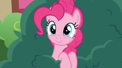 Size: 1920x1080 | Tagged: safe, screencap, pinkie pie, earth pony, pony, secrets and pies, 1080p, bush, cute, diapinkes, female, smiling, solo