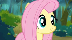 Size: 1920x1080 | Tagged: safe, screencap, fluttershy, pegasus, pony, g4, maud pie (episode), cute, shyabetes, smiling, solo