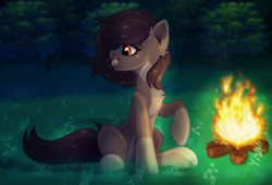 Size: 2500x1696 | Tagged: safe, artist:stesha, oc, oc only, oc:pelmeshka, earth pony, pony, bonfire, brown mane, brown tail, chest fluff, coat markings, commission, dumplings, ear fluff, earth pony oc, eating, female, fire, food, forest, forest background, full body, grass, grass field, looking at something, mare, mouth hold, night, open mouth, pale belly, raised hoof, short mane, sitting, socks (coat markings), solo, spots, tail, tree
