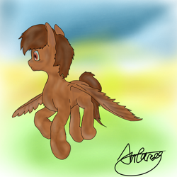 Size: 2048x2048 | Tagged: safe, oc, oc only, oc:antares vaward, pegasus, pony, flying, high res, pegasus oc, solo