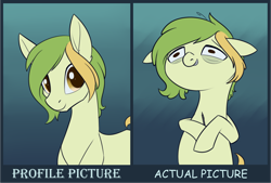 Size: 2252x1519 | Tagged: safe, artist:dusthiel, oc, oc:dust wind, earth pony, pony, bags under eyes, female, floppy ears, grin, looking at you, looking forward, mare, nervous, nervous smile, reality ensues, smiling, solo, stylus