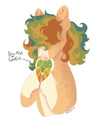 Size: 2524x3134 | Tagged: safe, artist:s0ftserve, oc, pony, cookie, food, high res, simple background, solo, transparent background