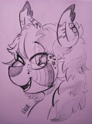 Size: 3022x4090 | Tagged: safe, artist:dsstoner, oc, pony, zebra, art trade, eyelashes, fangs, one eye closed, open mouth, piercing, sparkles, traditional art, wingding eyes, zebra oc