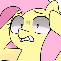 Size: 449x449 | Tagged: safe, artist:makaryo, fluttershy, pegasus, pony, g4, bust, eyebrows, eyebrows visible through hair, female, head in hooves, mare, pinpoint eyes, reaction image, shocked, simple background, solo, white background, wide eyes