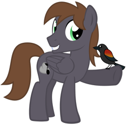 Size: 1200x1200 | Tagged: safe, artist:the smiling pony, oc, oc only, oc:wingbeat, bird, pegasus, pony, 2023 community collab, derpibooru community collaboration, g4, .svg available, blackbird, brown mane, brown tail, folded wings, full body, green eyes, grin, looking at you, male, pegasus oc, show accurate, simple background, smiling, smiling at you, solo, stallion, standing, svg, tail, three quarter view, transparent background, vector, wings
