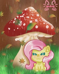 Size: 768x960 | Tagged: safe, artist:niveria25, fluttershy, pegasus, pony, g4, female, grass, leaf, mare, mushroom, solo