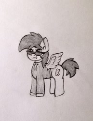 Size: 640x830 | Tagged: safe, artist:anonymous, oc, oc only, oc:ackie, pegasus, pony, clothes, hoodie, solo, sunglasses, traditional art, wings