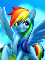 Size: 1536x2048 | Tagged: safe, artist:izalith_itxi, rainbow dash, pegasus, pony, g4, smiling, smirk, solo, spread wings, wings
