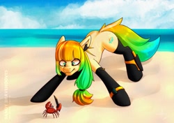 Size: 1638x1156 | Tagged: safe, artist:itxi_izalith, oc, oc only, crab, earth pony, pony, beach, cloud, looking at something, ocean, solo, water