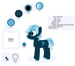 Size: 4213x3719 | Tagged: safe, artist:mrkm, derpibooru exclusive, oc, oc only, oc:azure moon(mrkm), pegasus, pony, female, female symbol, filly, foal, folded wings, freckles, full body, pegasus oc, question mark, reference sheet, simple background, size comparison, smiling, solo, transparent background, unshorn fetlocks, wings