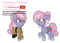 Size: 2100x1500 | Tagged: safe, artist:sapphireponipone, oc, oc:strawberry pristine, pegasus, pony, equestria at war mod, clothes, female, flag, freckles, mare, pegasus oc, reference sheet, simple background, solo, stalliongrad, standing, uniform, white background