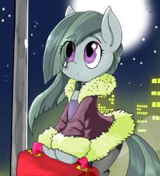 Size: 726x800 | Tagged: safe, artist:a.s.e, marble pie, earth pony, pony, bag, bipedal, city, cityscape, clothes, coat, eye clipping through hair, female, mare, moon, solo, stars