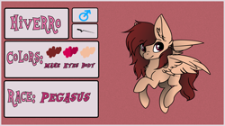 Size: 1774x996 | Tagged: safe, artist:hiverro, oc, oc only, pegasus, pony, male, pegasus oc, red background, reference sheet, simple background, solo