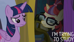 Size: 1280x720 | Tagged: safe, edit, edited screencap, editor:quoterific, screencap, moondancer, twilight sparkle, alicorn, pony, unicorn, amending fences, g4, beads, book, clothes, duo, duo female, female, frown, glasses, gritted teeth, hair beads, looking back, mare, moondancer is not amused, sweater, taped glasses, teeth, twilight sparkle (alicorn), unamused