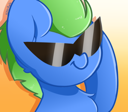 Size: 800x700 | Tagged: safe, artist:kittyrosie, oc, oc only, earth pony, pony, commission, icon, sunglasses