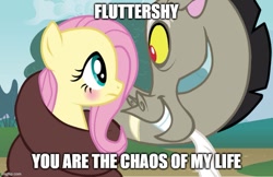 Size: 771x500 | Tagged: artist needed, safe, anonymous artist, edit, edited screencap, screencap, discord, fluttershy, draconequus, pegasus, pony, g4, base used, blushing, caption, coils, duo, female, hisscord, image macro, imgflip, looking at each other, looking at someone, male, mare, ship:discoshy, shipping, shipping fuel, straight, text