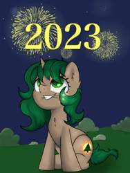 Size: 3000x4000 | Tagged: safe, artist:dumbwoofer, oc, oc:pine shine, pony, unicorn, celebration, chest fluff, ear fluff, female, fireworks, happy new year, high res, holiday, horn, looking up, mare, night, night sky, sky, smiling, solo, unicorn oc