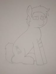 Size: 1679x2214 | Tagged: safe, artist:valuable ashes, oc, oc only, oc:valuable ashes, earth pony, pony, earth pony oc, sitting, solo, traditional art