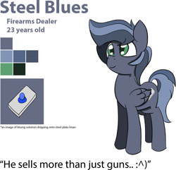 Size: 1439x1390 | Tagged: safe, artist:sapphireponipone, oc, oc only, oc:steel blues, pegasus, pony, male, pegasus oc, reference sheet, simple background, solo, stallion, standing, white background