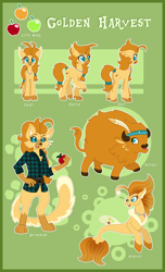 Size: 3100x5100 | Tagged: safe, artist:happy-go-creative, oc, oc only, oc:golden harvest, abyssinian, bison, buffalo, cat, hippogriff, seapony (g4), abyssinian oc, abyssinianized, apple, bisonfied, buffalo oc, buffalofied, catified, cloven hooves, commission, cutie mark, food, hippogriff oc, hippogriffied, reference sheet, seaponified, species swap