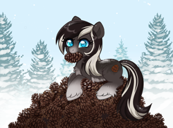 Size: 2751x2040 | Tagged: safe, artist:confetticakez, oc, oc only, oc:pine ponder, pony, yakutian horse, chest fluff, cute, female, fluffy, forest, herbivore, high res, hoard, mare, pinecone, snow, solo, unshorn fetlocks, winter