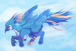 Size: 3000x2000 | Tagged: safe, artist:lionbun, oc, oc:gavran, griffon, commission, flying, griffon oc, high res, male, sky