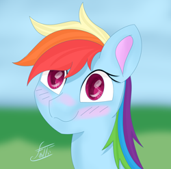 Size: 2560x2527 | Tagged: safe, artist:fa11en, rainbow dash, pegasus, pony, g4, blushing, bust, female, grass, grass field, high res, mare, signature, sky, smiling, solo