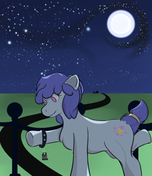 Size: 1106x1280 | Tagged: safe, artist:planetarium, oc, oc only, oc:stilbruch tingle, earth pony, pony, accessory, detailed background, earth pony oc, happy, moon, pink eyes, purple hair, purple mane, quadrupedal, raised arm, raised leg, short hair, short mane, short tail, smiling, solo, standing, stars, tail, ticket