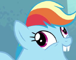Size: 464x368 | Tagged: safe, edit, edited screencap, screencap, rainbow dash, pegasus, pony, g4, newbie dash, season 6, bucktooth, cropped, derp, faic, forthright filly, rainbow dash is best facemaker, smiling, solo