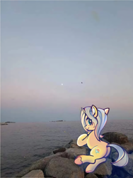 Size: 2560x3412 | Tagged: safe, artist:mila mila, derpibooru exclusive, oc, oc:aurore soleilevant, pony, unicorn, beach, evening, high res, horn, irl, looking at you, ocean, orange coat, photo, ponies in real life, sky, smiling, solo, unicorn oc, water