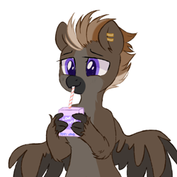 Size: 1000x1000 | Tagged: safe, artist:thieftea, oc, oc only, oc:aeto, hippogriff, beak, claws, colored belly, drinking, drinking straw, ear piercing, fluffy, hippogriff oc, mohawk, pale belly, piercing, purple eyes, simple background, solo, white background, wings