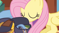 Size: 520x293 | Tagged: safe, screencap, discord, fluttershy, draconequus, pegasus, pony, dungeons and discords, g4, season 6, animated, bag, cute, discute, duo, duo male and female, female, gif, male, mare, micro, opening, saddle bag, surprised, tiny