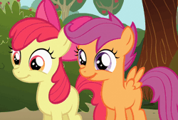 Size: 800x539 | Tagged: safe, screencap, apple bloom, scootaloo, earth pony, pegasus, pony, g4, season 1, the show stoppers, adorabloom, animated, apple bloom's bow, bow, cute, cutealoo, duo, duo female, female, filly, foal, hair bow, smiling