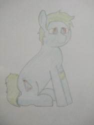 Size: 3120x4160 | Tagged: safe, artist:valuable ashes, oc, oc only, earth pony, pony, arm band, earth pony oc, solo, traditional art