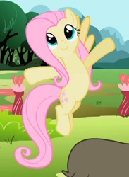 Size: 418x572 | Tagged: safe, screencap, fluttershy, pegasus, pony, g4, may the best pet win, cropped, female, flying, mare, smiling, solo, spread arms, spread hooves