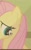 Size: 500x810 | Tagged: safe, screencap, fluttershy, pegasus, pony, baby cakes, g4, my little pony: friendship is magic, cropped, looking down, solo