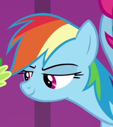 Size: 439x492 | Tagged: safe, screencap, rainbow dash, pegasus, pony, g4, horse play, cropped, female, lidded eyes, mare, offscreen character, smiling, solo focus