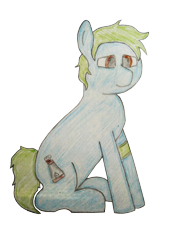 Size: 3120x4160 | Tagged: safe, artist:valuable ashes, oc, oc only, oc:valuable ashes, earth pony, pony, 2023 community collab, derpibooru community collaboration, bust, earth pony oc, male, portrait, simple background, solo, transparent background