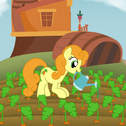 Size: 2000x2000 | Tagged: safe, artist:nitei, carrot top, golden harvest, earth pony, pony, g4, atg 2022, barrel, carrot, crouching, dirt, farm, female, field, food, happy, herbivore, high res, house, mare, mouth hold, newbie artist training grounds, open mouth, open smile, show accurate, smiling, solo, watering, watering can