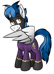 Size: 1032x1403 | Tagged: safe, artist:whirlwindflux, oc, oc only, oc:whirlwind flux, pegasus, pony, 2023 community collab, derpibooru community collaboration, male, pegasus oc, shadowbolts, simple background, solo, stallion, transparent background