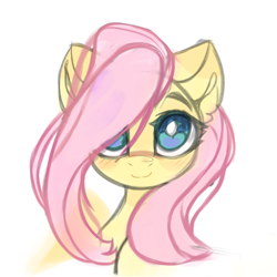 Size: 4096x4096 | Tagged: safe, artist:jfrxd, fluttershy, pegasus, pony, g4, absurd resolution, blushing, bust, cute, female, full face view, hair over one eye, looking at you, mare, shyabetes, simple background, smiling, smiling at you, solo, stray strand, white background