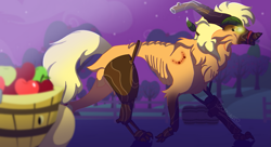 Size: 1017x552 | Tagged: safe, artist:brybrychan, applejack, timber pony, timber wolf, g4, apple, basket, bite mark, emaciated, female, food, glowing, glowing eyes, night, outdoors, ribs, skinny, solo, species swap, stars, story included, thin, timber wolfified, timberjack, transformation