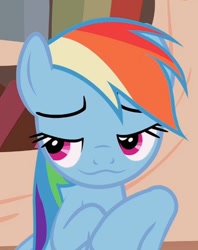 Size: 552x696 | Tagged: safe, screencap, rainbow dash, pegasus, pony, g4, season 4, testing testing 1-2-3, :3, chibi, cropped, female, golden oaks library, mare, rainbow dash is best facemaker, solo