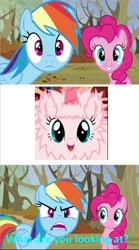 Size: 677x1219 | Tagged: safe, edit, edited screencap, screencap, pinkie pie, rainbow dash, oc, oc only, oc:fluffle puff, earth pony, pegasus, pony, g4, my little pony: friendship is magic, tanks for the memories, fake horn, looking at you, rainbow dash is not amused, unamused