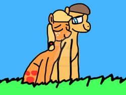 Size: 1920x1442 | Tagged: dead source, safe, artist:iamscar2017, applejack, caramel, earth pony, pony, g4, blue sky, deviantart watermark, duo, eyes closed, female, grass, looking at someone, male, mare, nuzzling, obtrusive watermark, ship:carajack, shipping, smiling, stallion, straight, watermark