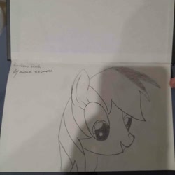 Size: 1496x1496 | Tagged: safe, artist:kenzie, rainbow dash, pegasus, pony, g4, black and white, drawing, grayscale, monochrome, paper, pencil drawing, traditional art